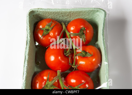 Strauchtomaten, verpackt in einem Karton Teller mit Folie Stockfoto