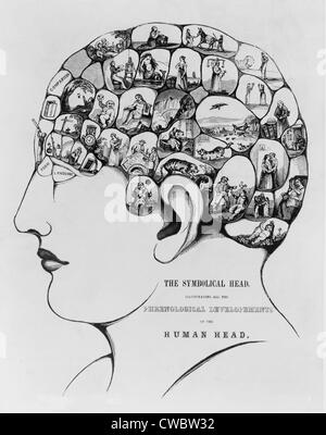 "Der symbolische Kopf, illustrieren die phrenologische Entwicklungen des menschlichen Kopfes" wurde von der führenden amerikanischen erstellt. Stockfoto