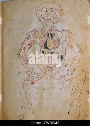 Das menschliche Venensystem von MANSUR Anatomie, verfasst von der persische Gelehrte und Arzt, Mansur ibn Ilyas (ca. Stockfoto