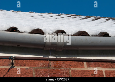 Von schmelzendem Schnee auf Dach Dachrinne überläuft und roten Backsteinmauer mit strahlend blauem Himmel tropfte Wasser Stockfoto