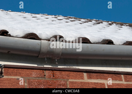 Von schmelzendem Schnee auf Dach Dachrinne überläuft und roten Backsteinmauer mit strahlend blauem Himmel tropfte Wasser Stockfoto