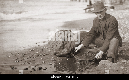 Mann schwenken Gold am Strand von Nome, Alaska, die Anfang des 20. Jahrhunderts. Stockfoto