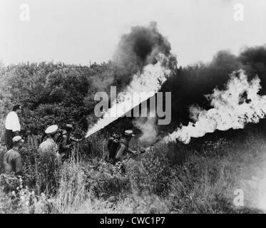 US-Marines unter der Leitung der Polizei einschalten Flammenwerfer ein Feld von Marihuanapflanzen in Chicago. 15. August 1958. Stockfoto