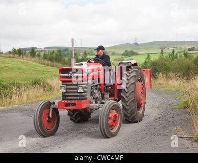 Führen Sie einen roten Oldtimer Massey Ferguson 175 Traktor zu fahren, während ein Ayrshire Oldtimer Traktor und Maschine Club Road Enthusiasten Stockfoto