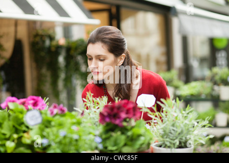 Frau in einem Blumenladen Blumen riechen Stockfoto