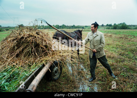 Ein Bauer in Heuernte, Rumänien Stockfoto