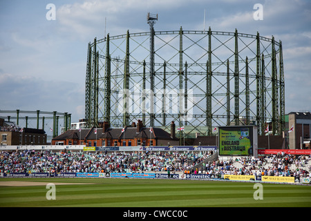 Der ovale Cricket Ground, während ein One Day International, England V Australien Großbritannien Stockfoto