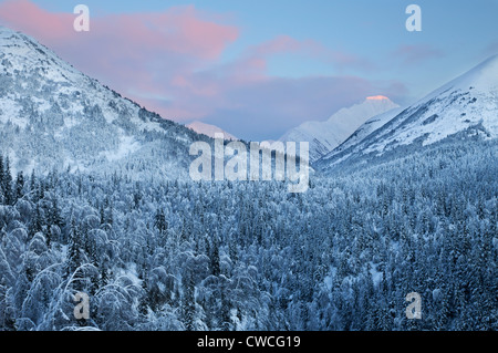 Verschneite Bäume im Sonnenuntergang, Chugach National Forest, Alaska. Stockfoto