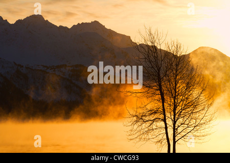 Eisnebel auf Resurrection Bay, Seward, Alaska. Stockfoto