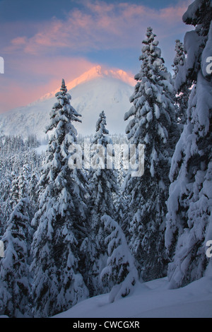 Von der Lost Lake Trail im Winter, Chugach National Forest, Alaska. Stockfoto