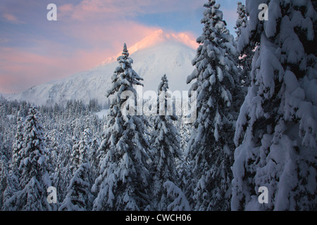 Von der Lost Lake Trail im Winter, Chugach National Forest, Alaska. Stockfoto
