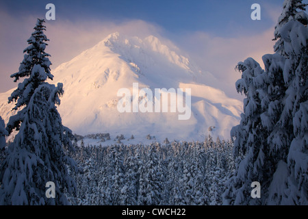 Von der Lost Lake Trail im Winter, Chugach National Forest, Alaska. Stockfoto