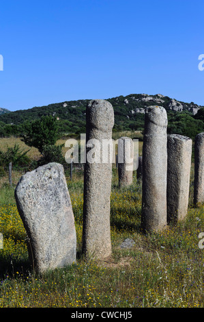 Neolithische Ausgrabungen von Cauria, Menhire Anordnung d' Stantar, Korsika, Frankreich Stockfoto