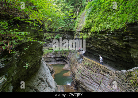 Steilen felsigen Schlucht und Wasserfälle in Watkins Glen State Park in der Finger Lakes Region des Staates New York Stockfoto