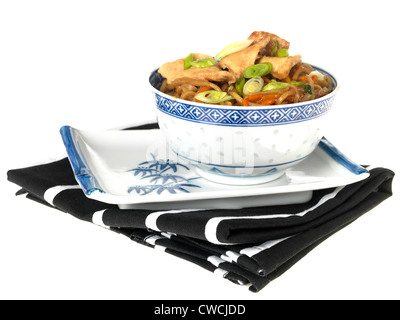 Authentischen Chinesischen oder asiatischen Stil bunte Leckere Stir-Fried Huhn Chow Mein, isoliert gegen den weißen Hintergrund, mit einen Freistellungspfad, kein Volk Stockfoto