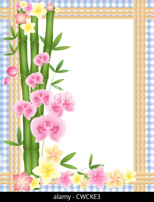 zur Veranschaulichung der grünen Bambussprossen mit einer rosa Orchidee und Frangipani Blüten auf einem lila karierten Hintergrund Stockfoto