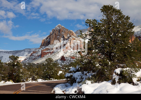Winter Schnee auf Schnebly Hill Road, Coconino National Forest, Sedona, Arizona. Stockfoto