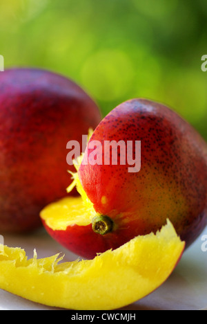 Mangos Früchten isoliert auf grünem Hintergrund. Stockfoto