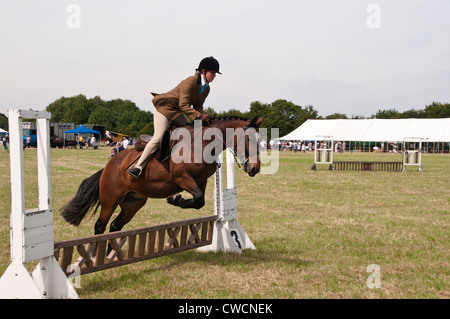 Pferd und Reiter bei der Chertsey Show 2012 Stockfoto