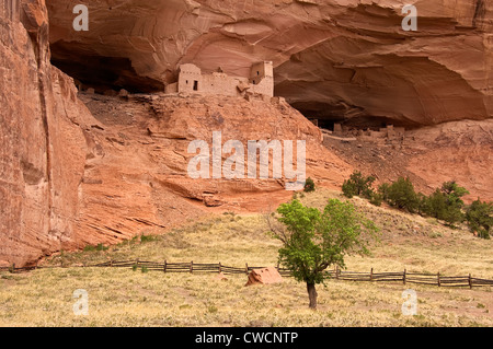 Elk288-1267 Arizona, Canyon de Chelly Nationalmonument, Canyon del Muerto, Mummy Cave Ruin, 12. c Stockfoto