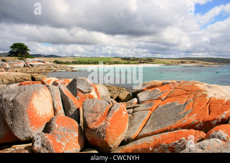 Die Gärten Strände entlang der Bay of Fires, Ostküste Tasmaniens Stockfoto