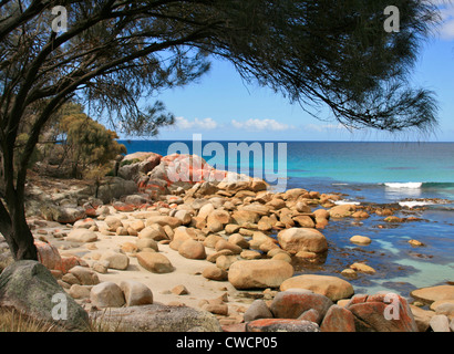 Eine kleine Welle im Sloop Beach entlang der Bay of Fires, Ostküste Tasmaniens Stockfoto