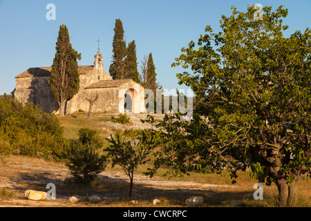 Am Abend Sonnenlicht auf Chapelle Saint-Gegenkandidaten, Eygalieres Provence Frankreich Stockfoto