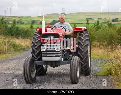 Führen Sie einen roten Oldtimer Massey Ferguson 165 Traktor zu fahren, während ein Ayrshire Oldtimer Traktor und Maschine Club Road Enthusiasten Stockfoto