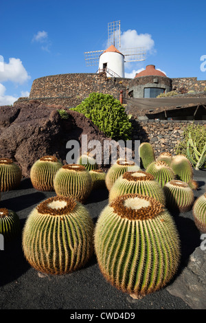 Jardin de Cactus (Kaktusgarten) mit Windmühle Stockfoto