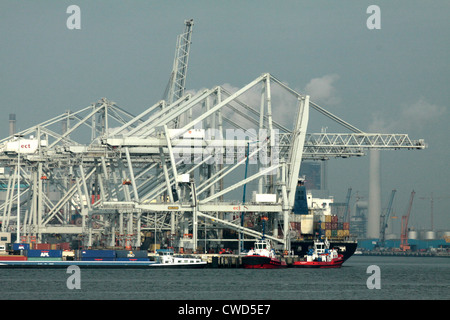 Containerbrücken am ECT Europoort Container Terminal, Rotterdam. Schiffe, Schlepper und Lastkähne auch in Schuss Stockfoto