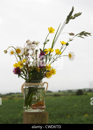 Jam Jar von wilden Blumen auf einem Zaunpfahl in Ackerland Stockfoto