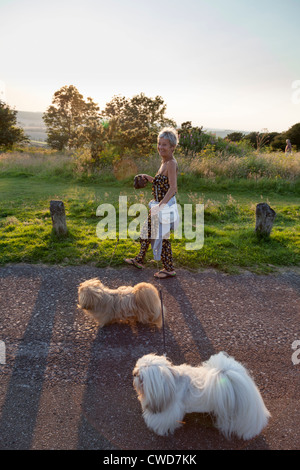 Applying Frau zu Fuß zwei Lhasa Apso Hunde im Country Park in Sommerabend Stockfoto