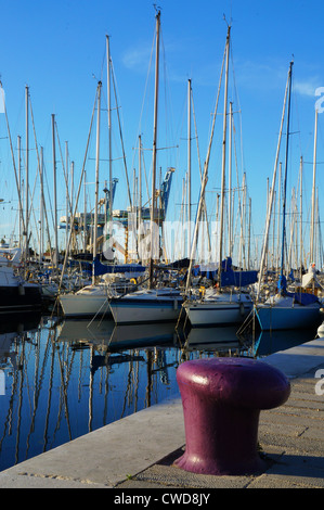 Lila Boote Liegeplatz in der Kai von Palermo Stockfoto