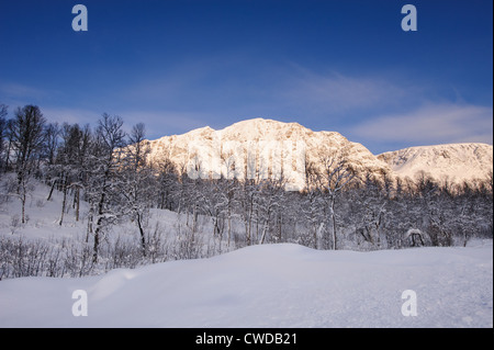 Winterlandschaft in Nord-Norwegen Stockfoto