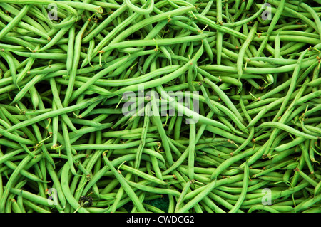 Grüne Bio-Bohnen auf einem Bauernmarkt in Santa Monica, westlich von Los Angeles, Kalifornien an der Westküste der Vereinigten Staaten. Stockfoto