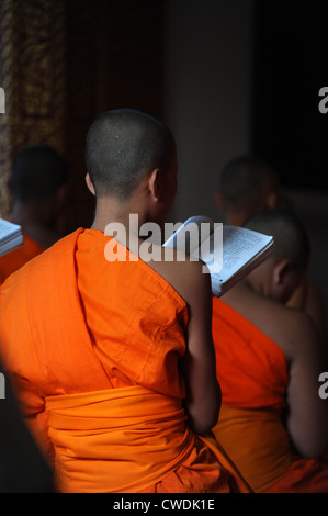 Novize Abend singen Zeit in Luang Prabang Tempel, Laos. Stockfoto