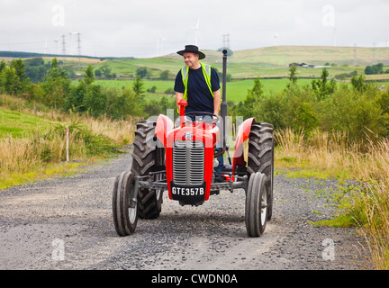 Enthusiasten, die einen roten Oldtimer Massey Ferguson 35 Traktor zu fahren, während ein Ayrshire Oldtimer Traktor und Maschine Club Straße laufen. Stockfoto