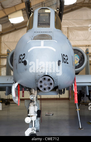 Eine a-10 Thunderbolt aus der 354. Jagdstaffel sitzt in einem Hangar in Davis-Monthan Air Force Base geparkt. Stockfoto