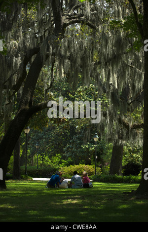 MENSCHEN PICKNICK UNTER SPANISCHEM MOOS IM BAUM ZWEIGE FORSYTH PARK SAVANNAH GEORGIA USA Stockfoto