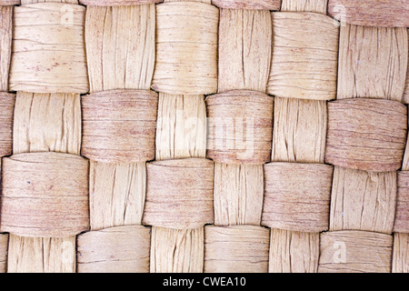 Interlacing grob faserig Holzfasern Textur Hintergrund Makro. Selektiven Fokus Stockfoto
