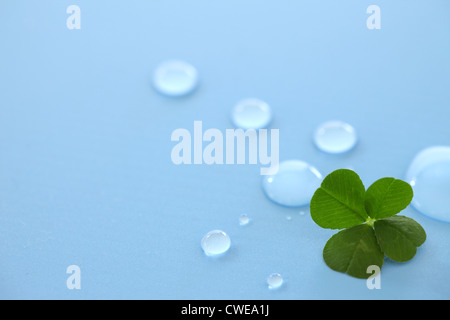 Kleine Tropfen und Kleeblatt auf blauem Hintergrund Stockfoto