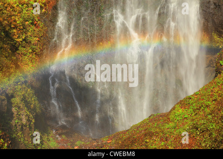 Regenbogen und Wasserfällen, Moos bedeckte Felsen Stockfoto