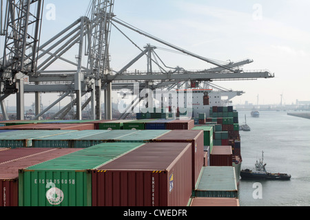Container gestapelt auf Deck ein großes Containerschiff, Hafen von Rotterdam. Schlepper und Kräne im Hintergrund Stockfoto