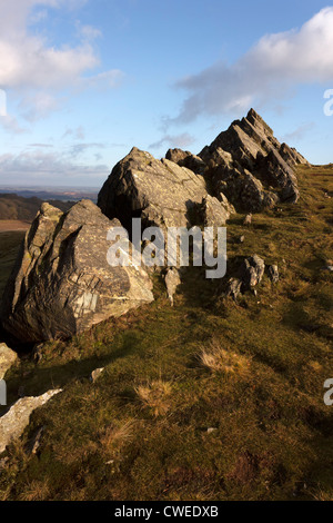 Ausläufer der angeblich ältesten (Präkambrium) rockt in Großbritannien, Bradgate Park Hügel, Leicestershire, England, UK Stockfoto