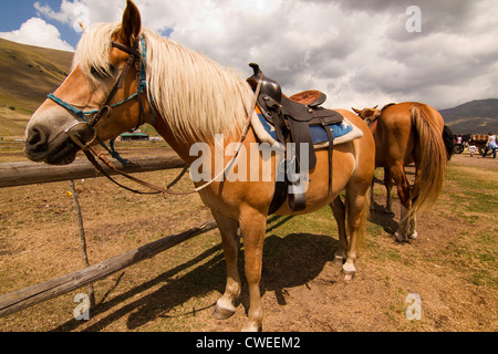 Reitstall in Castelluccio Italien Stockfoto