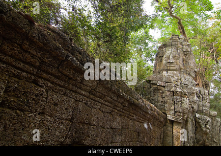 Horizontale Ansicht eines Steins konfrontiert Gopura Eingänge zum Ta Prohm aka Rajavihara oder der Tomb Raider-Tempel in Angkor. Stockfoto