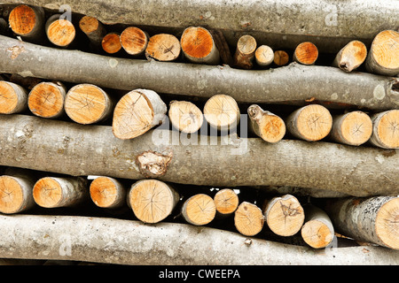 Geschnitten und gestapelt Protokolle im Vrata Tal, Gorenjska, Slowenien. Stockfoto