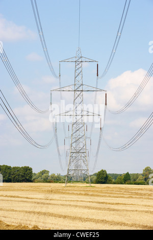 Strommasten in Landschaft Stockfoto