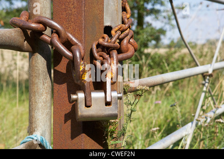 Kette und Vorhängeschloss Stockfoto