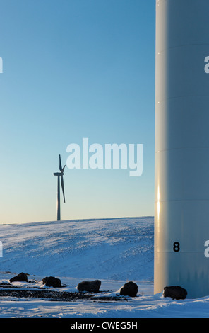 Grün kan Windfarm in die Ochil Hills, Perth und Kinross, Schottland, Großbritannien. Stockfoto